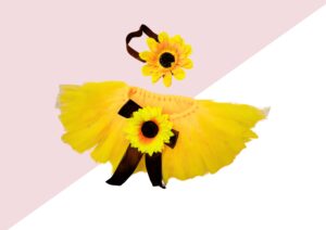 Little Miss Sunshine