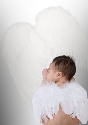 Pure White Wings